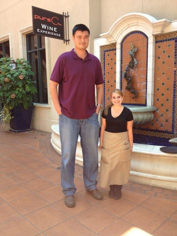 9. Der Basketballspieler Yao Ming (2,29 Meter hoch) neben einem 1,50 Meter hohen Mädchen.