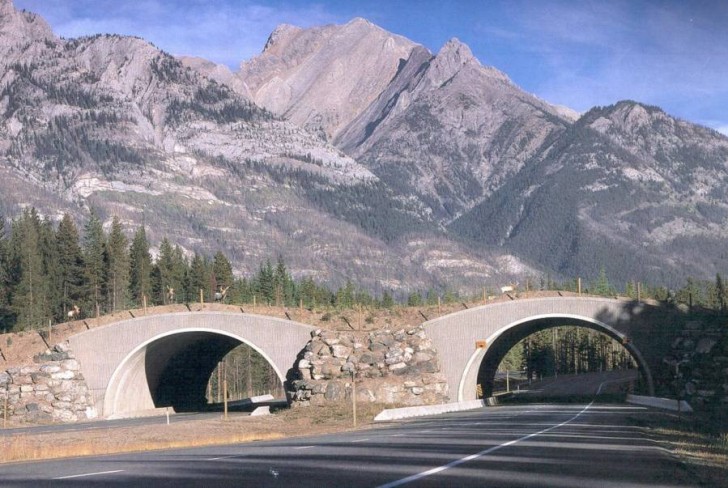 Un pont "vert" au Canada