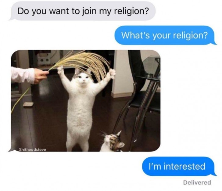"Do you want to join my religion?"