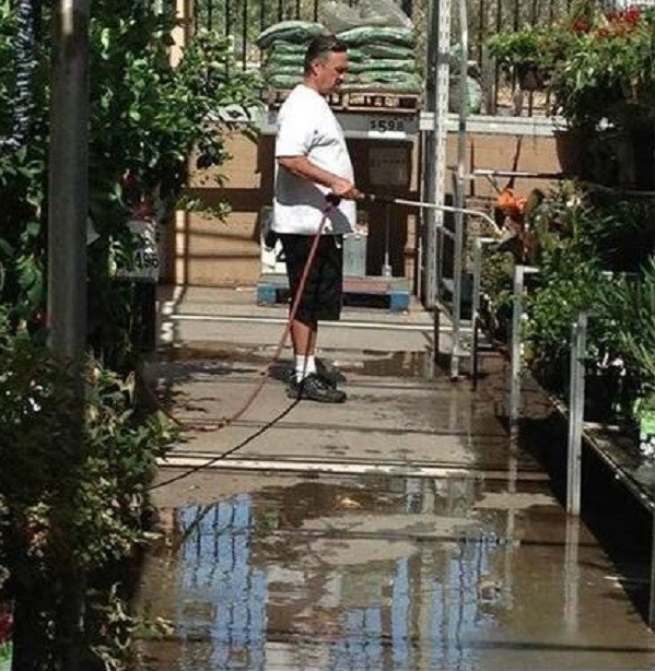 Grand-père a vu des plantes fanées près d'un supermarché et a décidé de prendre un tuyau et de les arroser.
