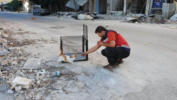 Ernesto's sanctuary for cats in Syria/Facebook