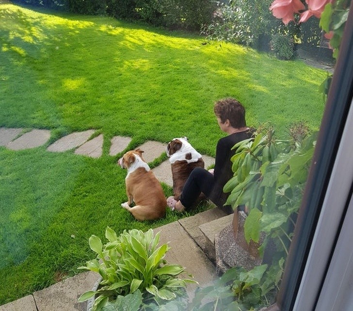 Every day this woman and her two dogs wait for her husband to return from work.