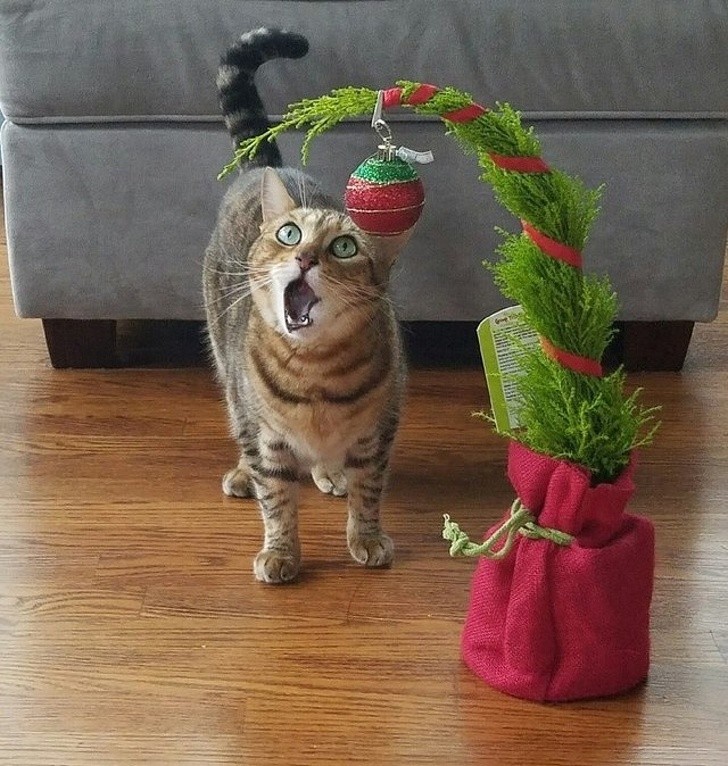 11. "Dein erstes Weihnachtsspiel... was passiert, wenn ich mich an den Weihnachtsbaum hänge?"