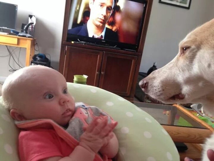 "Meine neugeborene Nichte und der Hund meiner Schwester treffen sich zum ersten Mal."