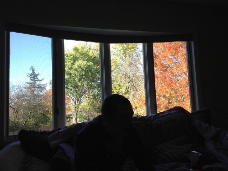 Quattro vetri che sembrano immortalare il paesaggio esterno in quattro differenti stagioni dell'anno!