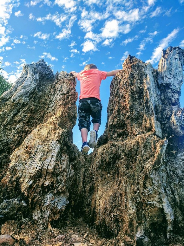 Une simple photo de profil qui a l'air plus majestueuse qu'elle n'en a l'air !