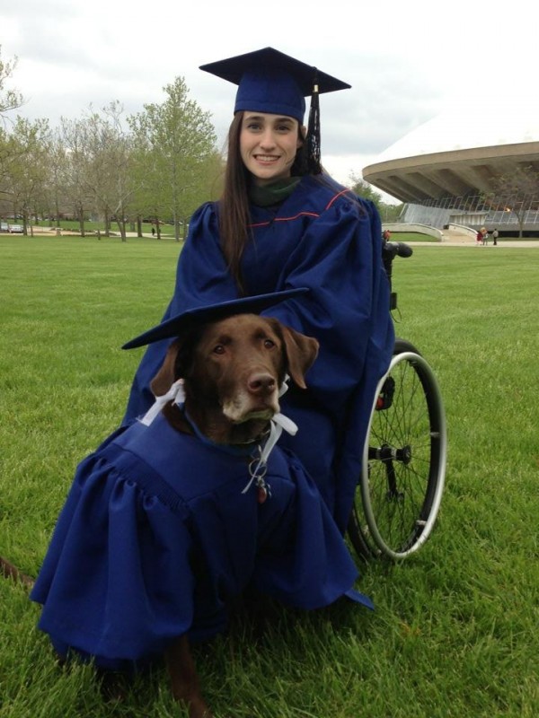 L'Università dell'Illinois ha premiato questo cane paziente con un master ad hoc; Hero aveva accompagnato la sua padrona disabile tutti giorni a lezione!