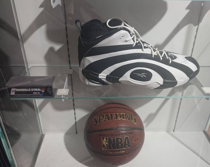 14. Le scarpe di questo giocatore di basket sono più grandi del pallone!