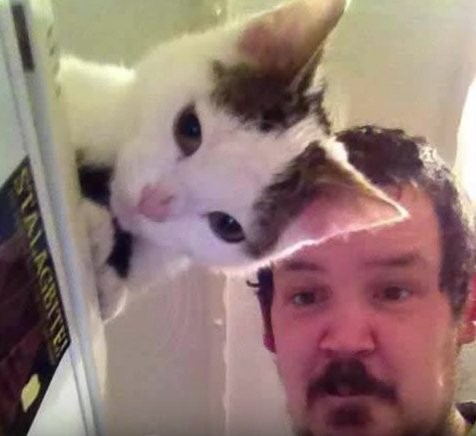 13. This is the first time a cat has merged into a photo with someone's hair and face!
