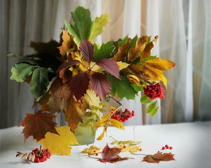 Non solo fiori: un centrotavola è altrettanto bello con le foglie e i frutti dell'autunno!
