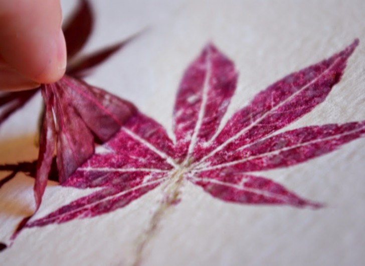 Stampa vegetale su tessuti: imprimendo fiori e foglie sui tessuti possiamo decorare tovaglie, abiti o cuscini creando mille combinazioni di forme e colori