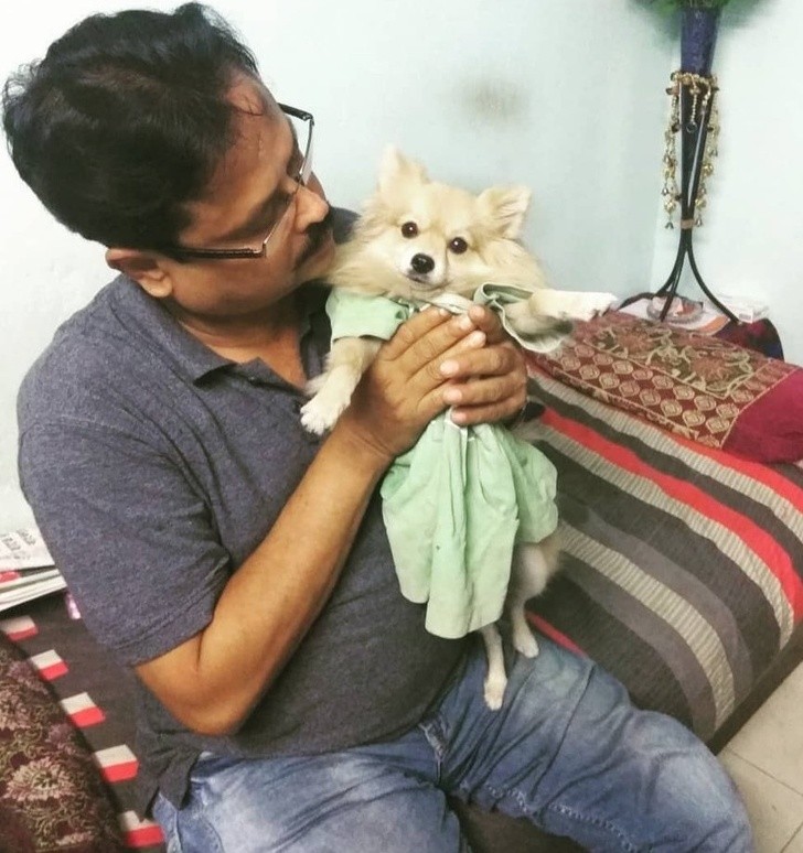 Put your first granddaughter's little dress on your tiny dog? Done.