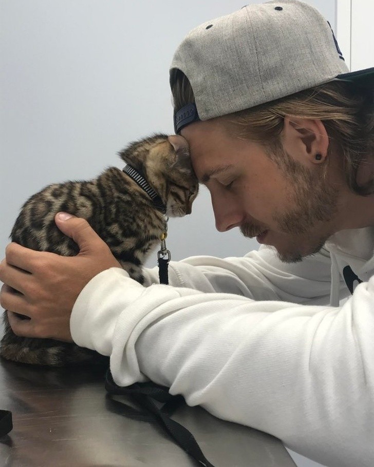 Comment réconforter un chaton chez le vétérinaire...