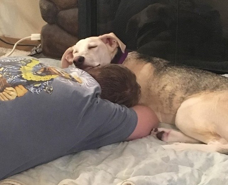 Exhaustos, luego de un largo día, también ellos hicieron una siesta...