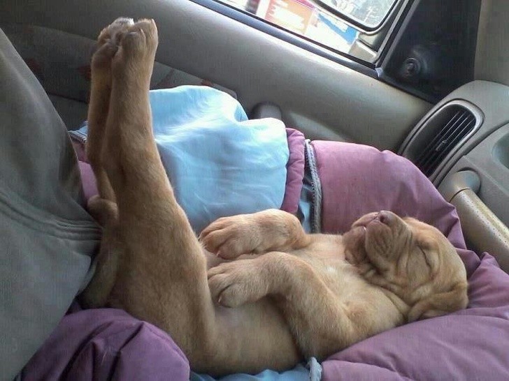 2. Allongez les jambes en l'air pendant quelques minutes : cela vous aidera à vous endormir.