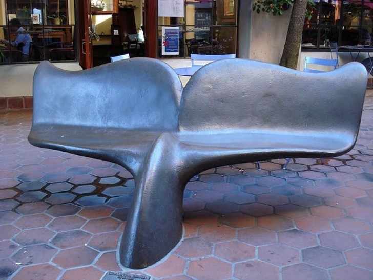 3. La coda di una balena si trasforma in una comoda seduta