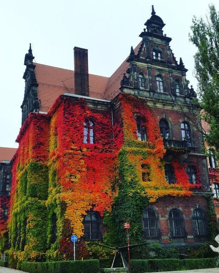 Un magnifique edifice dominé par la nature automnale à Wroclaw, Pologne...