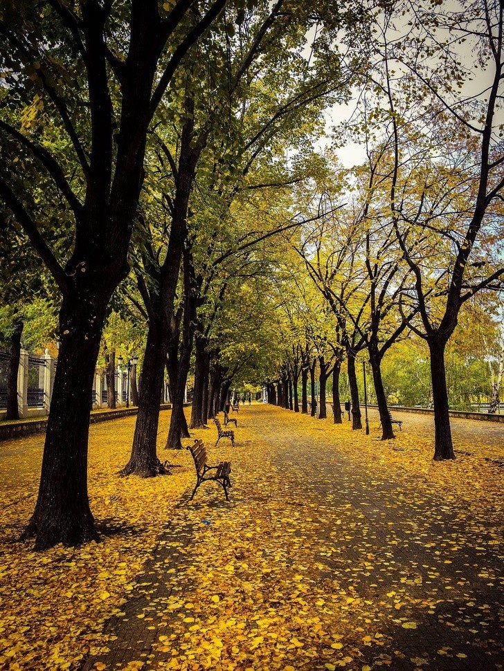 L'automne arrive également à Skopje en Macédoine du Nord...