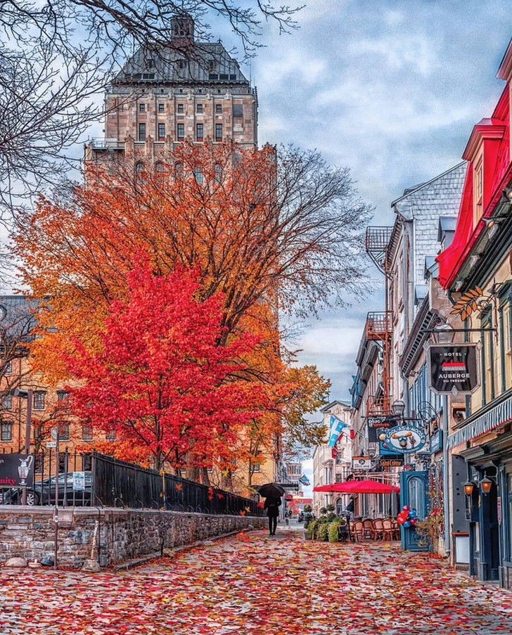 Il est bon de se promener dans les rues d'automne du Québec, Canada !