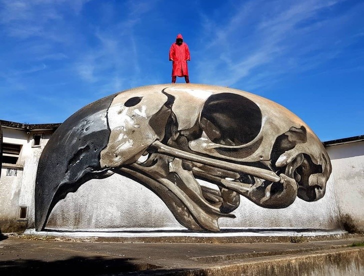 8. L'immense crâne d'un ara géant, peint sur le toit d'une cave
