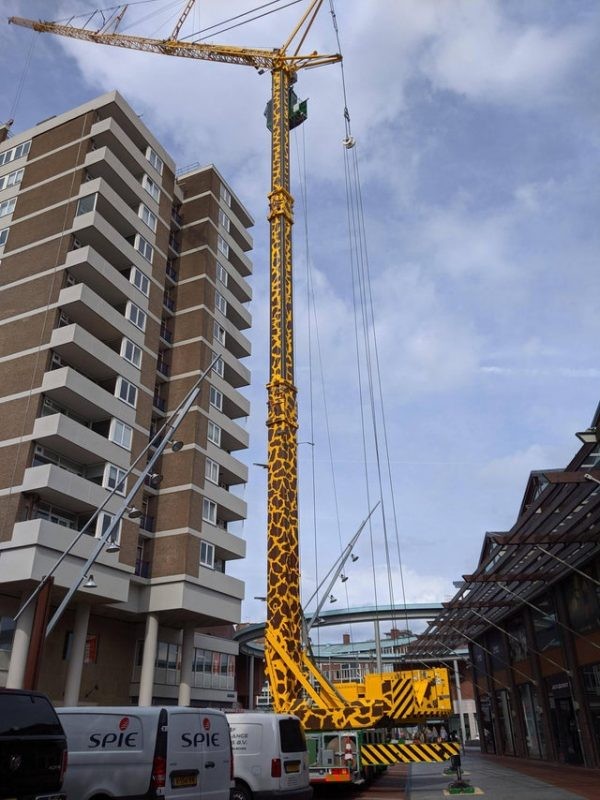 16. Fini les grues tristounettes pour les chantiers de construction : voici une grue-girafe !