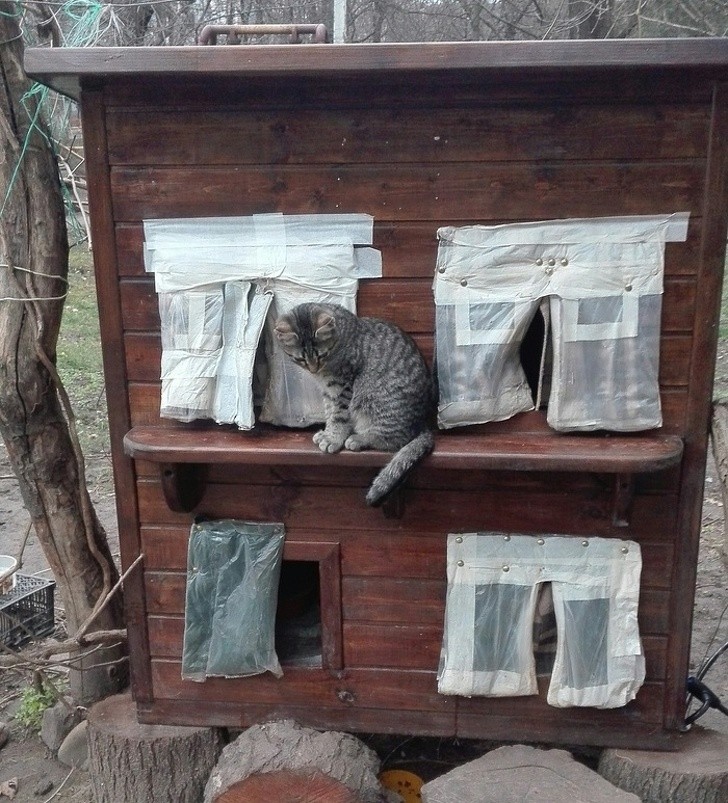 Jemand hat ein Winterhaus für streunende Kätzchen gebaut, komplett mit Essen und Wasser