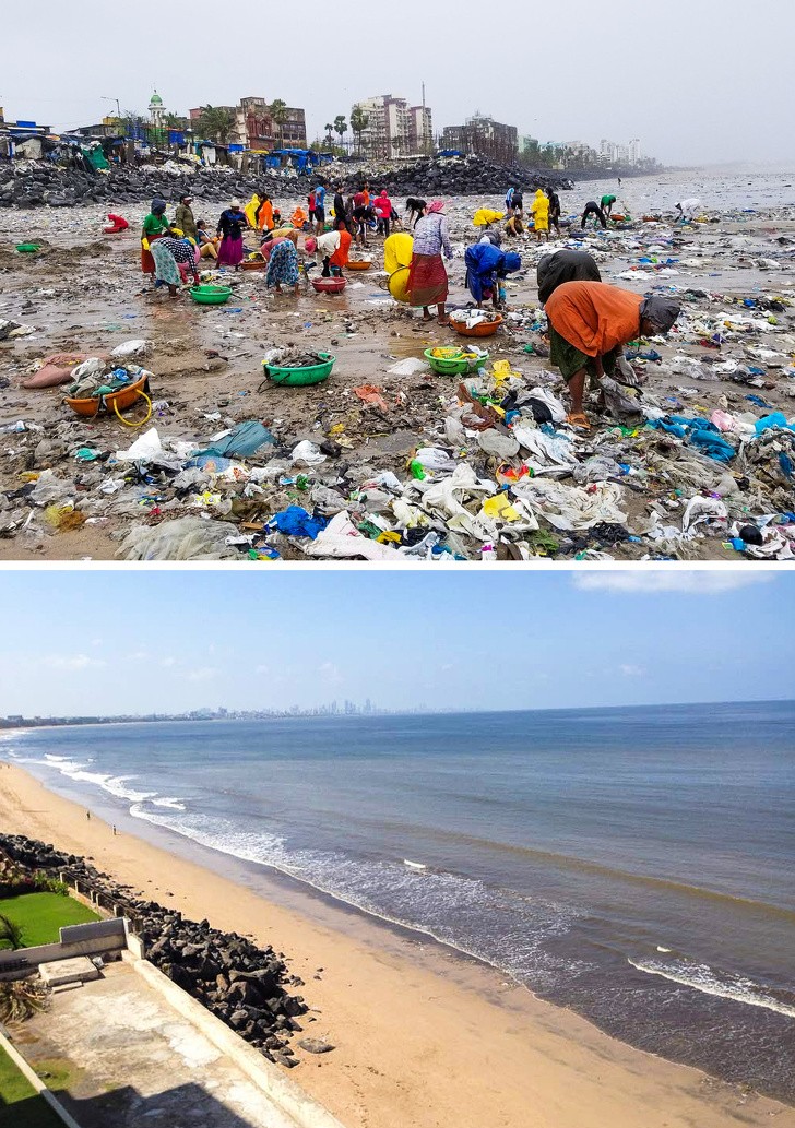 In Indien haben Zivilisten 5 Tonnen Abfall vom Strand entfernt.