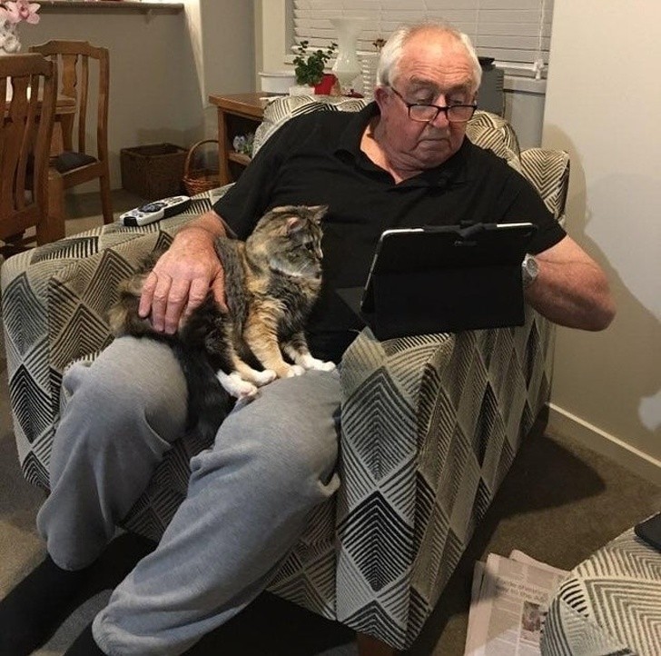 15. "Mein Vater und die Katze schauen sich zusammen das Rugby-Spiel an"