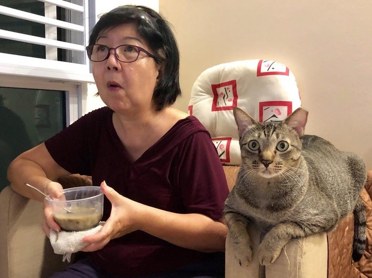 1. "Our cat as he watches TV with my mom"