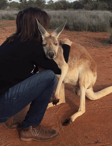 Facebook / The Kangaroo Sanctuary Alice Springs