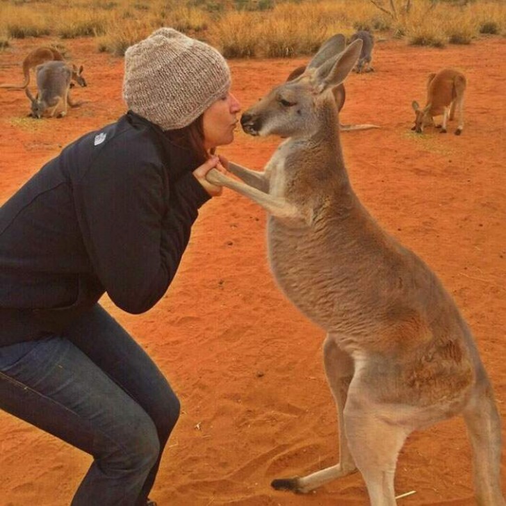 Facebook / The Kangaroo Sanctuary Alice Springs