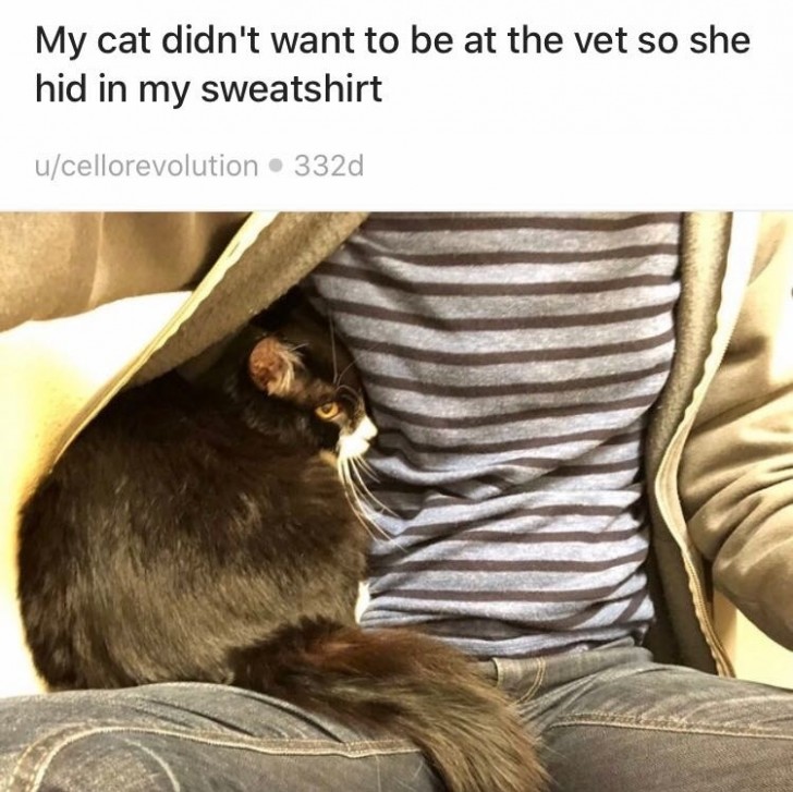 10. "Ma chatte ne voulait pas vraiment aller chez le vétérinaire, alors elle s'est cachée dans mon manteau !"
