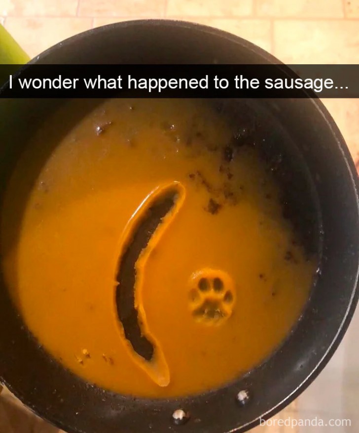 Who knows what happened to that sausage that was there a moment ago ...
