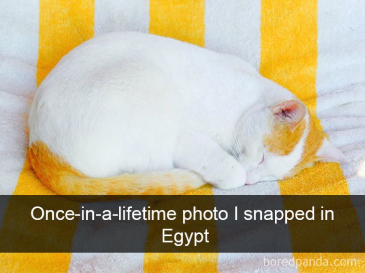 A once-in-a-lifetime photo that I snapped in Egypt. Talk about perfect symmetry ...