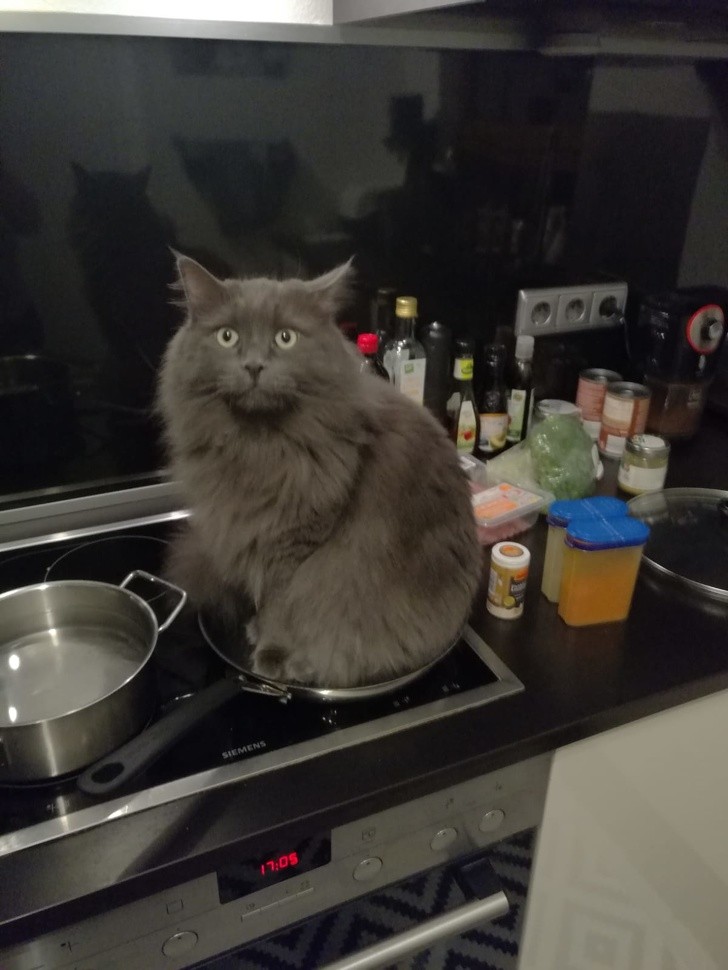 2. Oh! Do you need to cook something here?