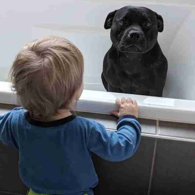 Den här hunden smyger in i grannarnas badkar för att bada med deras barn - 1