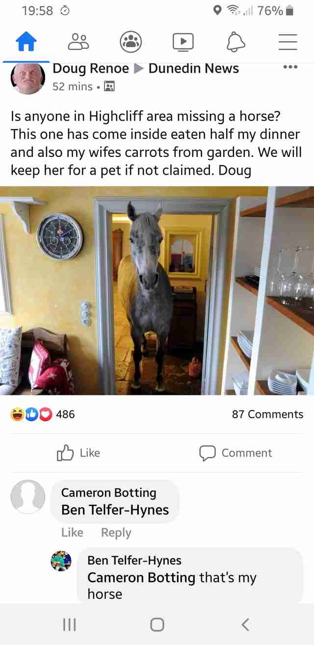 Ecco il post in cui Doug chiede informazioni sulla cavallina smarrita