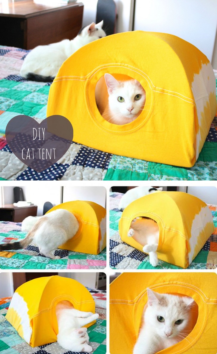 6. Una tenda per gatti che li farà sentire comodissimi