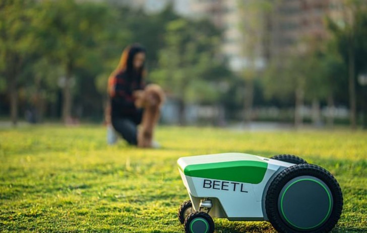 Beetl Robotics 