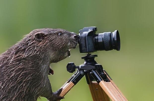 "Un peu à droite, maintenant un peu à gauche... parfait !"