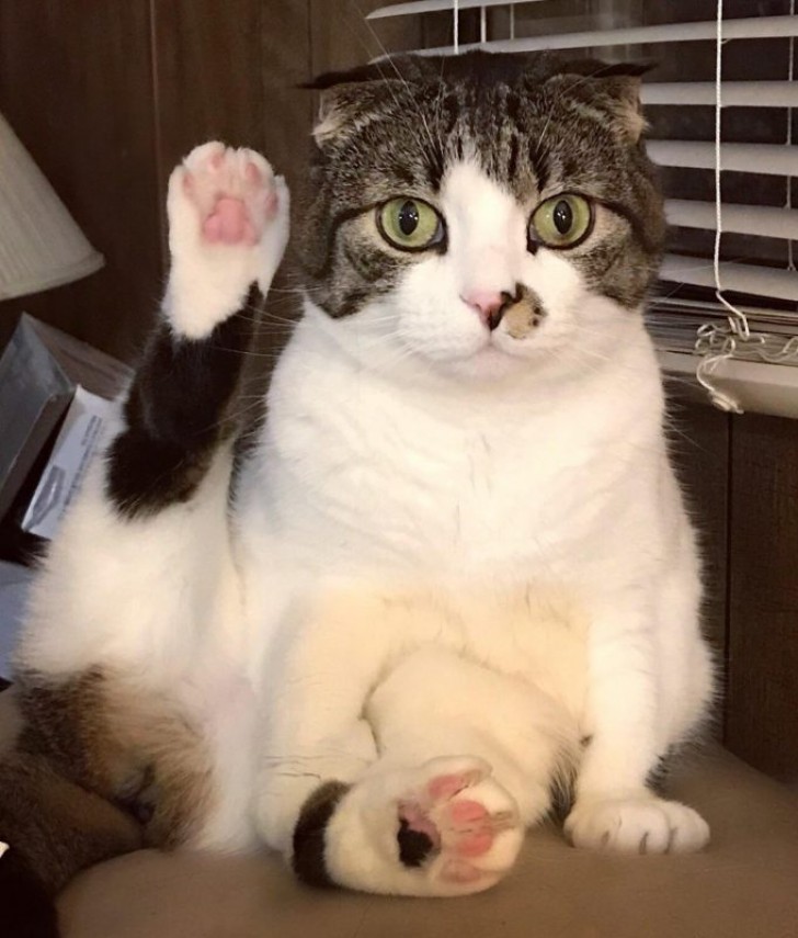 Pris en flagrant délit !