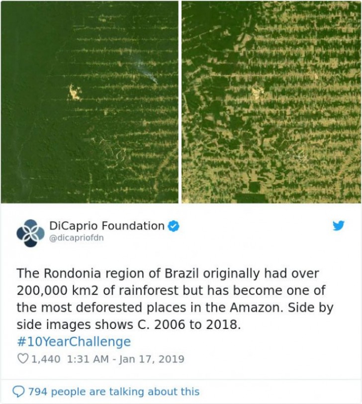 De regio Rondonia in Brazilië. Zie je de verschillen?