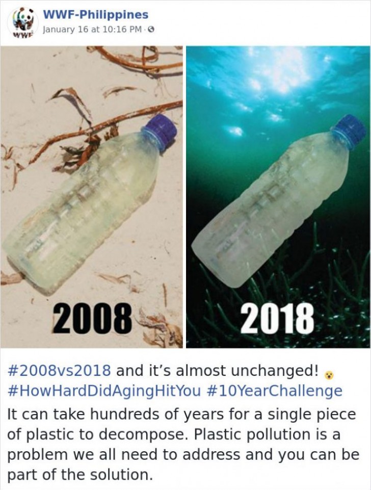 Deze fles water is in 10 jaar tijd niets veranderd! Ongelooflijk!