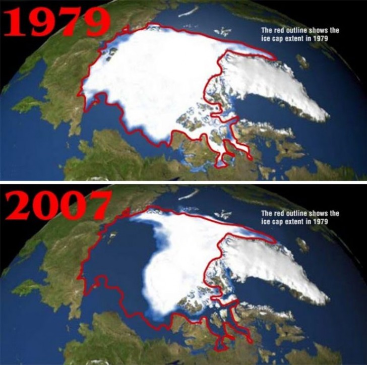 Von 1979 bis 2009