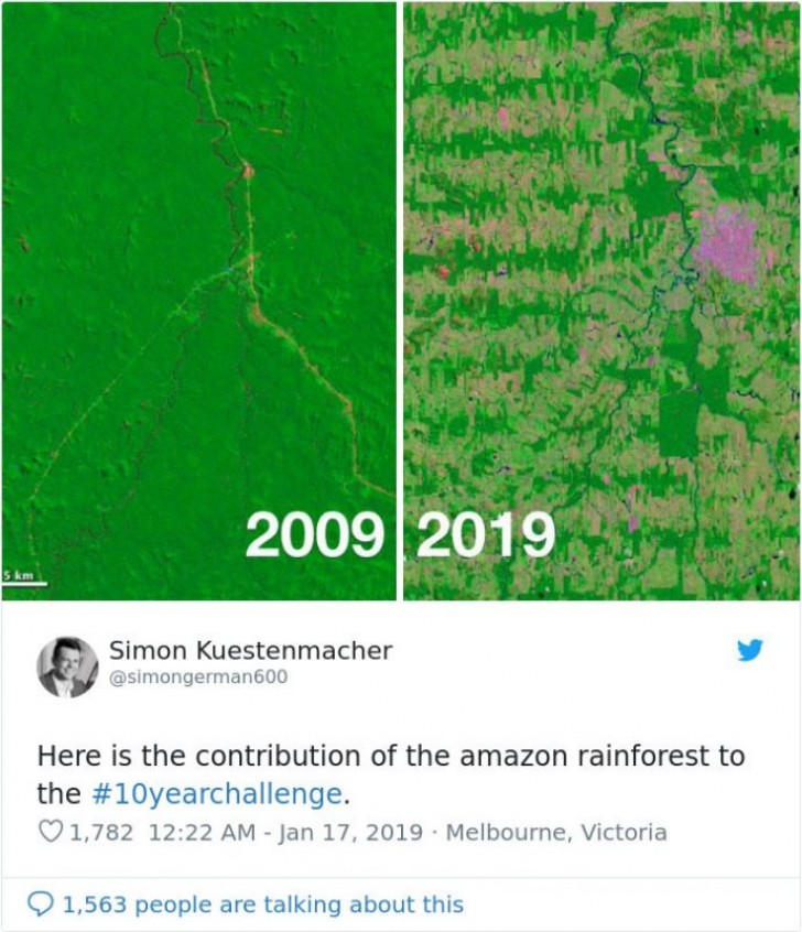 Het Amazonewoud in 2009 en 2019. Werkelijk deprimerend.