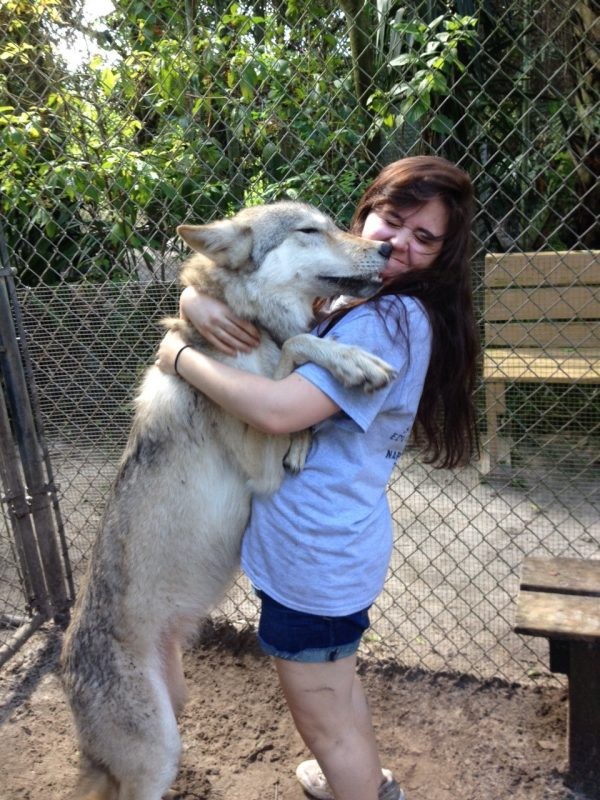 2. Im Gegensatz zu dem, was in vielen Märchen erzählt wird, gibt es auch freundliche Wölfe.