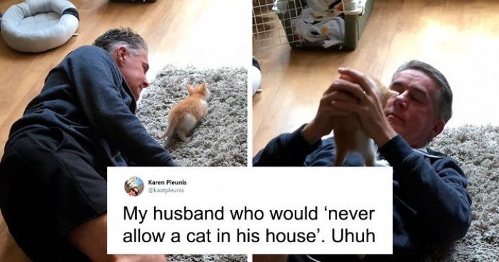 1. "This is my husband, the one who would " 'never allow a cat in his house' "