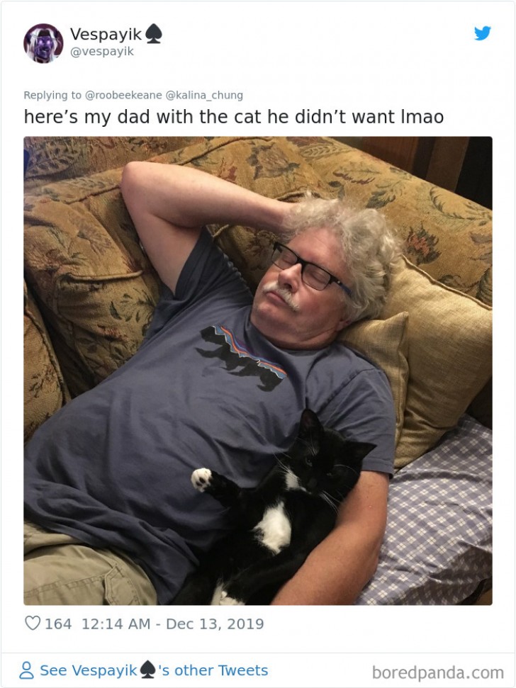 8. "Here's my dad with the cat he didn't want. lmao"