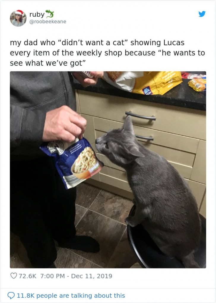 2. "This is my dad who "didn't want a cat" showing Lucas every item of the weekly shopping because " 'he wants to see what we've got.' "