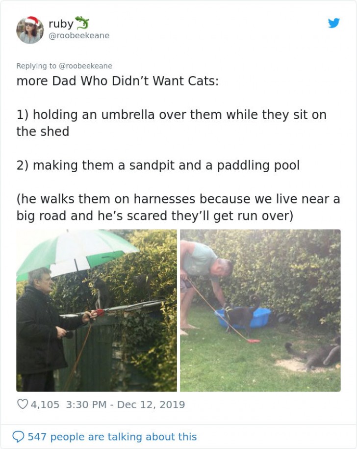 3. "This is again my father who did not want a cat and who is now: 1) holding an umbrella over them while they sit on the shed and (2) making them a sandpit and a paddling pool."
